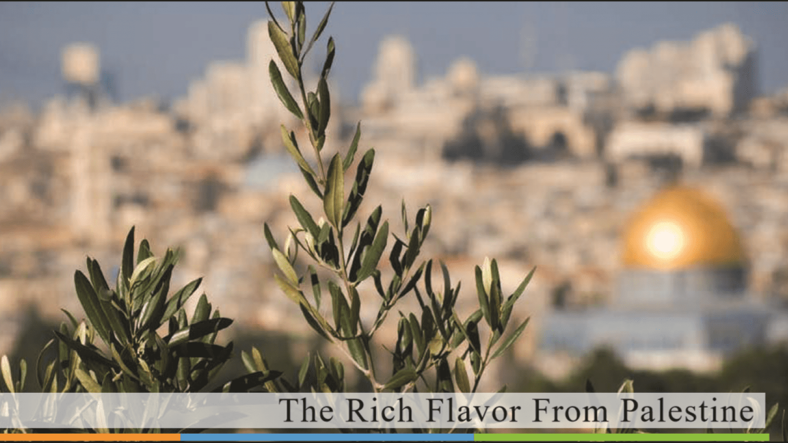 La société palestinienne Al Ard soutenue par l'Union européenne