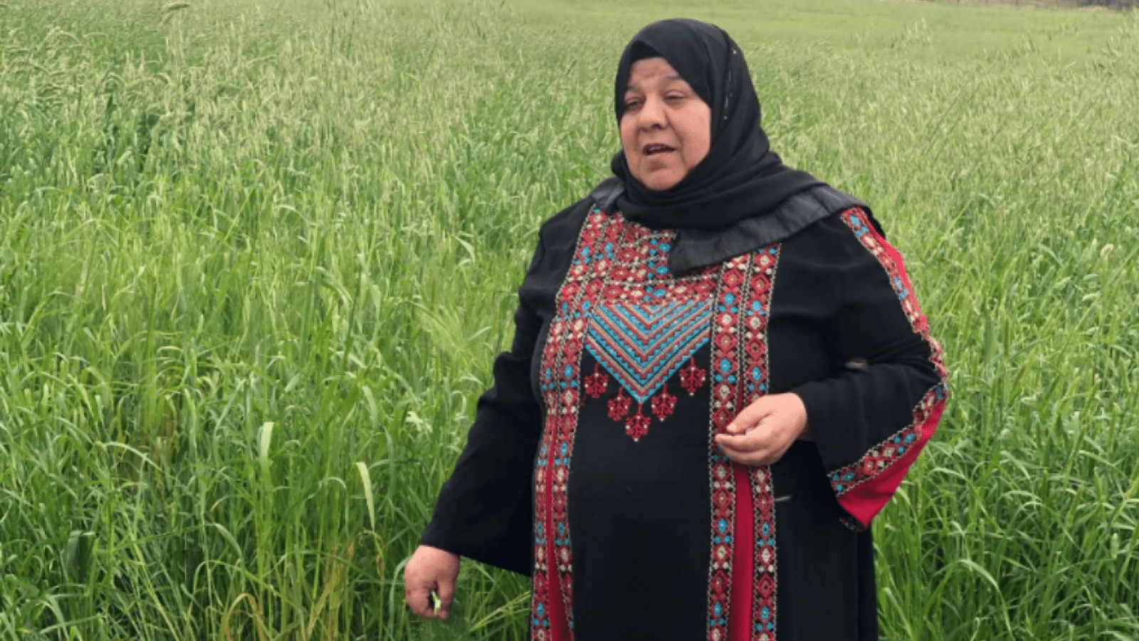 La société palestinienne Al Ard soutenue par l'Union européenne