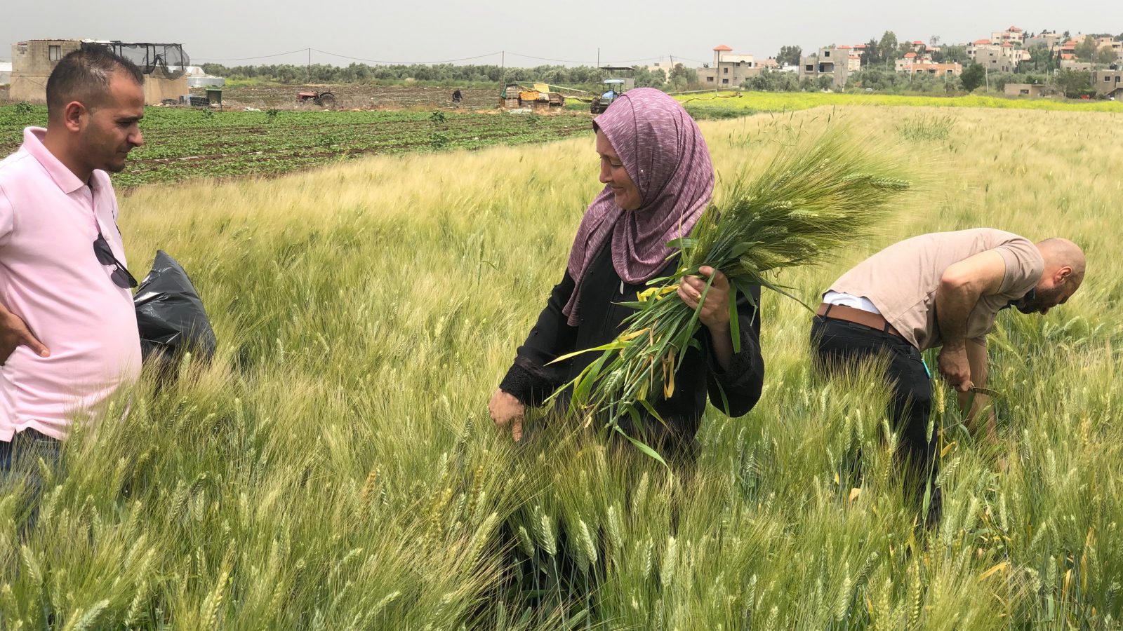 La société palestinienne Al Ard soutenue par l'Union européenne